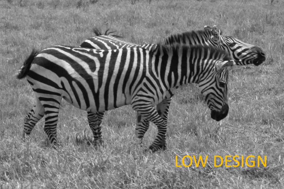 Stripes Stripes
